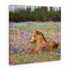 Stupell Industries Foal Horse Lounging Flower Meadow, 24" x 24" - 3 of 4