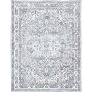 Brentwood BNT852 Power Loomed Indoor Rugs - Safavieh - 1 of 4