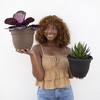 Bloem Ariana Round Resin Planter Pot Indoor and Outdoor Gardening - 2 of 4