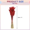 Unique Bargains Decorative Natural Dried Floral Bunny Tail Artificial Plants 120 Pcs - 2 of 4