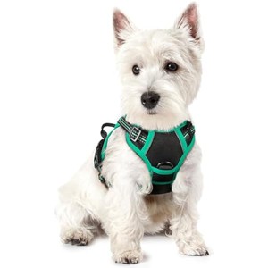 rabbitgoo Dog Harness No Pull with 2 Leash Clips, Control Handle for Puppy, Black & Turquoise, XS - 1 of 1