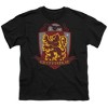 Boys' Short Sleeve Harry Potter Gryffindor Quidditch Shield Logo T-Shirt - 2 of 4