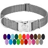 Country Brook Petz Premium Nylon Dog Collar with Metal Buckle for Small Medium Large Breeds - Vibrant 30+ Color Selection - 2 of 4