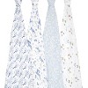 aden + anais muslin swaddle blankets - 4pk - 4 of 4