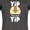 Women's Avatar: The Last Airbender Cute Appa Yip Yip Graphic T-shirt Dress - Heather Charcoal - 4X - 2 of 4