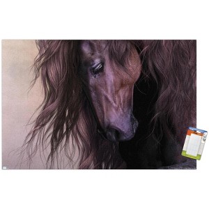 Trends International Laurie Prindle - Equus Unframed Wall Poster Prints - 1 of 4
