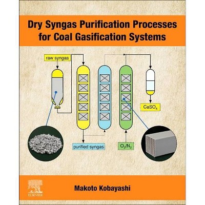 Dry Syngas Purification Processes for Coal Gasification Systems - by  Makoto Kobayashi (Paperback)