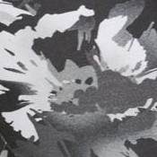 black splash floral