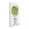 Stupell Industries Lemon Tree Detailed Planter, 13" x 19" - 3 of 4