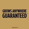 Scotts 2lbs EZ Seed Dog Spot Repair Rescue Jug: Lawn Fertilizer, Grass Growth, Pourable Application, 100 sq ft Coverage - 3 of 4