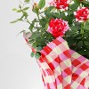 4" Mini Roses Red/White - Good Little Garden™ - 3 of 3
