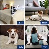 Waterproof Dog Blanket for Couch Bed, Washable Non-slip Bed Sofa Furniture Protector Mat for Dogs Cats, Kritter Planet - 4 of 4