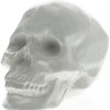 HomeRoots 6" White Ceramic Skull Tabletop Sculpture - 4 of 4