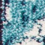 ivory/blue