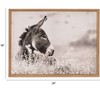 Storied Home Wood Framed Canvas Wall Décor with Donkey Photography, Multicolor - 2 of 4