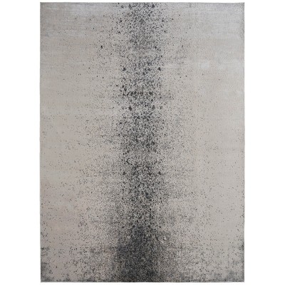 Astra Transitional Abstract Area Rug
