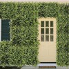 Acekool Artificial Plant Wall Panel, Lifelike Green Grass Wall, UV Resistant Faux Plant Decor for Indoor Outdoor, Easy Mount - 4 of 4