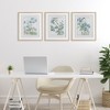 Stupell Industries Wild Blooms with Detailed Outlines 3pc Framed Print Under Glass Set - 2 of 4
