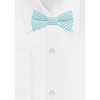 Jacob Alexander Young Boys’ Seersucker Striped Pre-Tied Bow Tie - 2 of 4