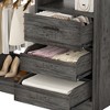 Aheaplus 36'' W Freestanding Walk-in Closet Organizer System with 2 Hanging Rods and 3 Wood Drawers - 4 of 4