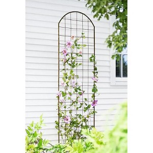 Gardeners Supply Company Jardin Flower Trellis | Sturdy Tall Garden Trellis for Climbing Plants, Clematis & Other Vine Flowers | Easy to Install - 1 of 4