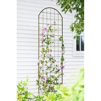 Titan Pea Tunnel, Extra Strong Lightweight Metal Trellis For Vegetables ...