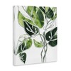 Stupell Industries Intricate Palm Vines Unique Green Leaves Canvas Art - 2 of 4