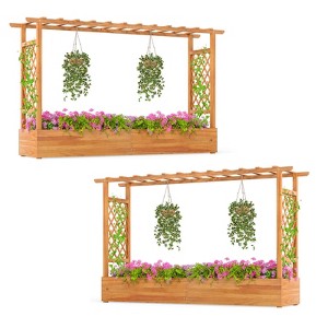 Costway 1/2 PCS 45” Raised Garden Bed with Trellis with Hanging Roof, 2 Side Trellises for Flower - 1 of 4