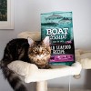 Boat To Bowl Fish, Salmon and Wild Seafood Flavor Recipe Dry Cat Food - 3.5lbs - 3 of 4