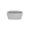 Cheung's Fern Oval Textured Cement Pot - 3 of 4