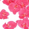 Unique Bargains Silk Plastic Durable Handcrafted Artificial Orchid Flower Heads 20 Pcs - 2 of 4