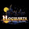 Boy's Harry Potter Hogwarts Illuminating Moon Pull Over Hoodie - 2 of 4