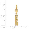 Black Bow Jewelry 14k Yellow Gold Taken Charm or Pendant, 4mm - 4 of 4