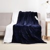 Whizmax Heated Electric Blanket Throw, Flannel Heating Blankets, 5 Heat Settings - 2 of 3