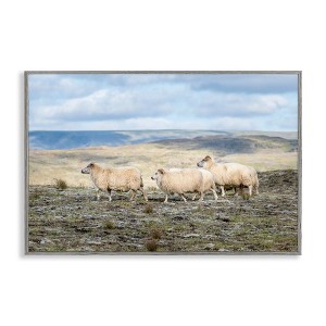 Stupell Industries Three Friends Sheep in Nature Framed Giclee Art - 1 of 4