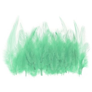 Unique Bargains DIY Dream Catcher Earrings Saddle Hackle Rooster Feathers 50 Pcs - 1 of 4