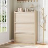 Shoe Cabinet with 3 Flip Drawers, Wooden Shoe Organizer Cabinet with Adjustable Shelf, Shoe Storage for Entryway - 2 of 4