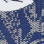 dark blue/white