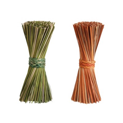 Storied Home 2-Piece Grass Bundle with Braided Seagrass Tie, Green and Orange