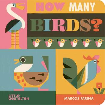 How Many Birds? - by  Marcos Farina (Hardcover)