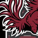 south carolina gamecocks