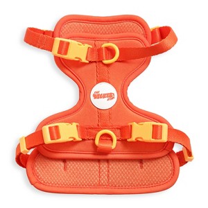THE LICKER STORE Arlo Adjustable Soft Padded No Pull Pet Harness with 3 Buckles and 3 Leash Clips - 1 of 4