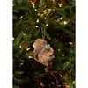 Gallerie II Buri Squirrel Ornament - 3 of 3