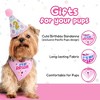 Pacific Pups Products Dog Birthday Party Set - 5 Piece Kit for Birthday Party for Dogs - 3 of 4