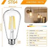 Ludomide 12Packs Vintage LED Edison Bulbs - 3 of 4