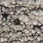 gray, dark purple, sage, taupe