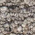 gray, dark purple, sage, taupe