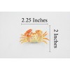 Collectible Wildlife Gifts | Crab, Helmet Crab, Rubber, Crustaceans, Educational, Realistic, Hand Painted,  Figurine,  Gift,     2"      F936 B157 - 3 of 4