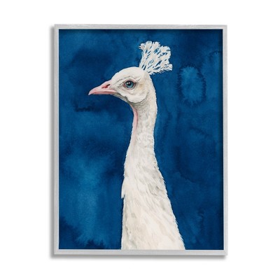 Stupell White Feather Peacock over Royal Blue Framed Giclee