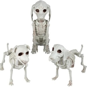 Halloween Dog Skeleton 3 Pack Indoor/Outdoor Decorations-Plastic Animal Bones for Party Table Decor, Haunted Houses- A Trio of Unique Canine Skeletons - 1 of 4